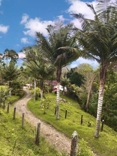 Ecofinca Salento Eksteriør billede