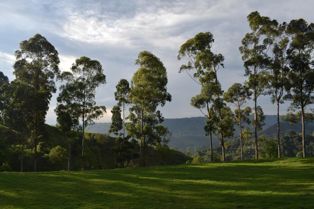 Ecofinca Salento Eksteriør billede